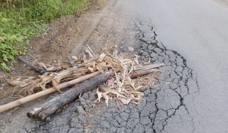 Perbaikan Jalan Umum Tak Tuntas, Warga Luwu Ancam Blokir Akses Tambang Masmindo