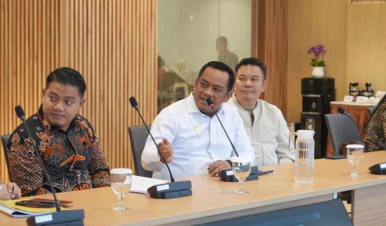 Pemkab Luwu Usulkan Pembangunan RS Walmas ke Bappenas