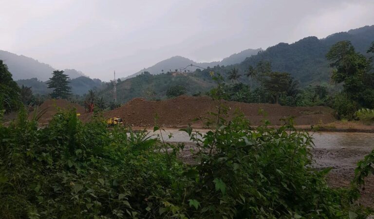 Wallacea Desak Pemkab Luwu Bertindak atas Tambang Emas Tanpa Izin, Siap Lapor ke Ditjen Gakkum dan Ombudsman